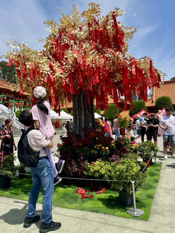 E01 - A wish tree, a shared community