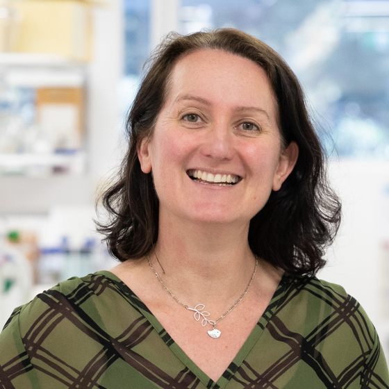 A/Prof Kate Seib
