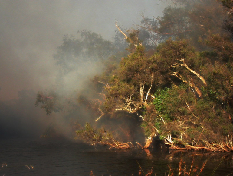 Bushfire smoke, asthma, lung disease and masks – BREATHE, a research study in 2022