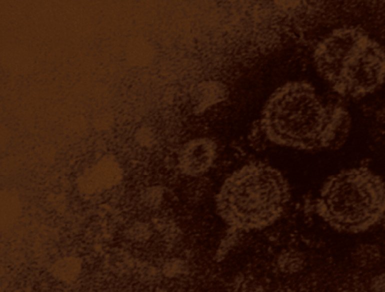 Mircophotograph of virus cells, tinted brown. Cover of Annual Surveillance Report – Hepatitis B.