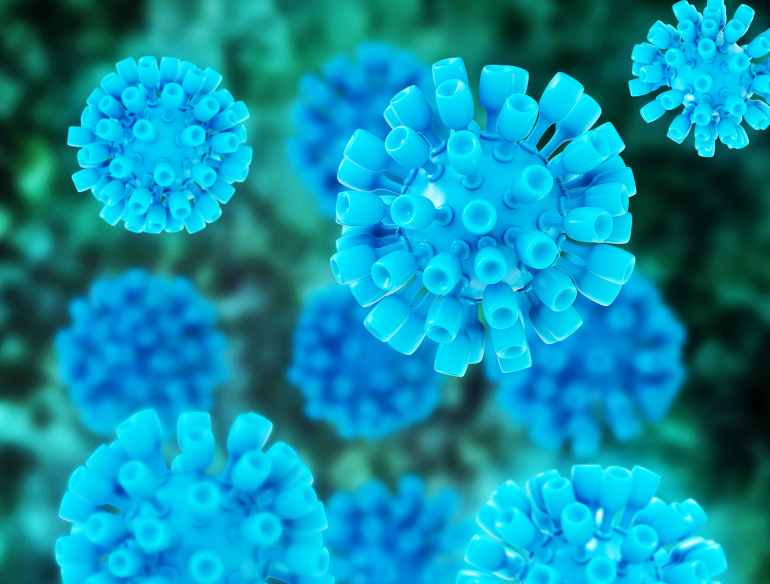 Rendered hepatitis cells. Credit: Shutterstock.