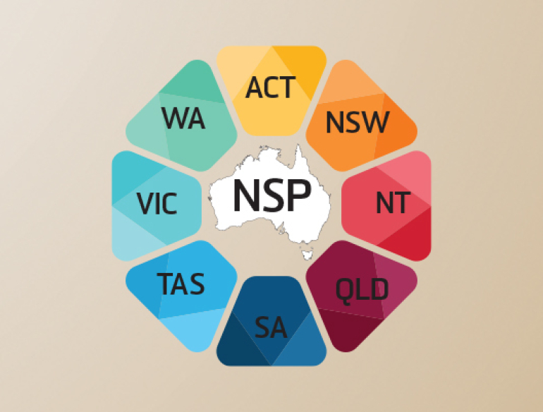 NSP-NMDC report 2022 header image