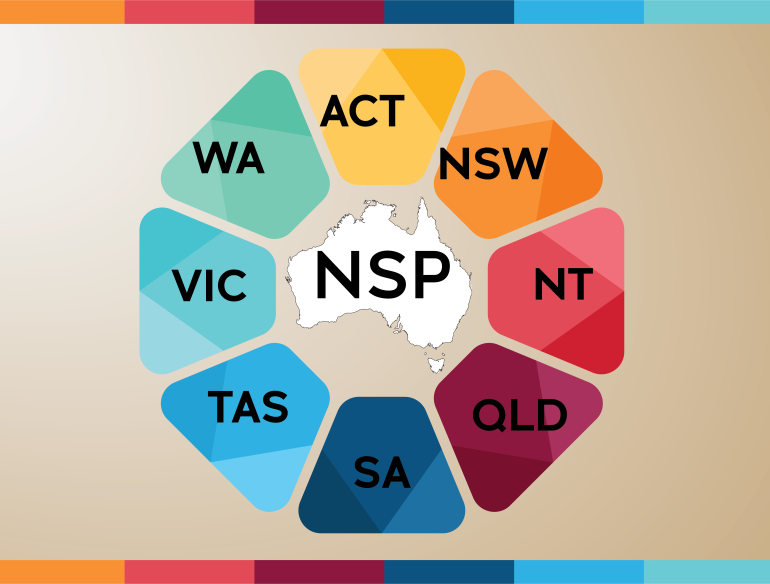 NSP NMDC 2023 National Data Report Image