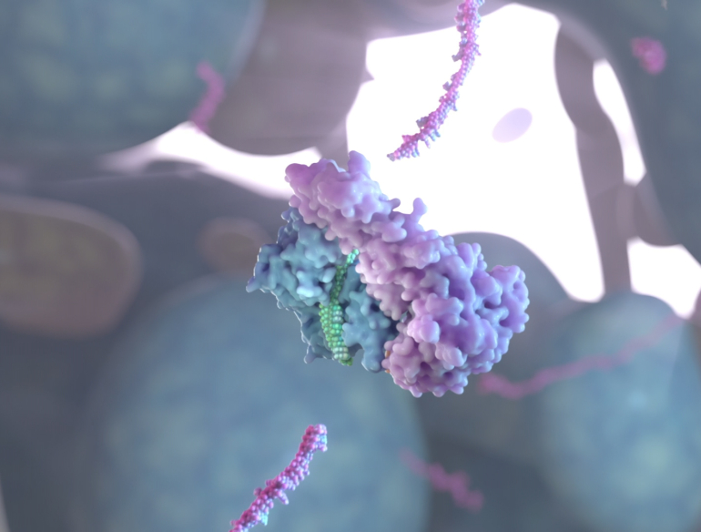 Illustration of the siRNA recruits proteins and slices up the virus. Credit: UNSW 3DXLab