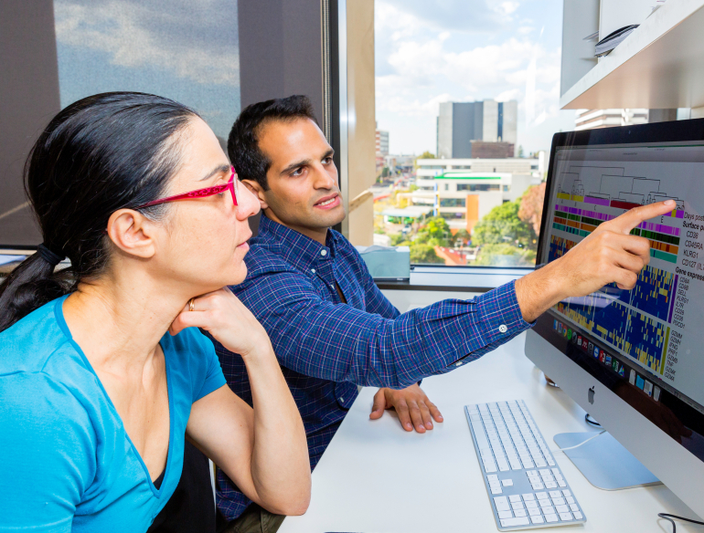 Staff from Viral Immunology Systems Program looking and pointing at a computer monitor with colourful graphs on it. Credit: Kirby Institute/Bec Lewis.