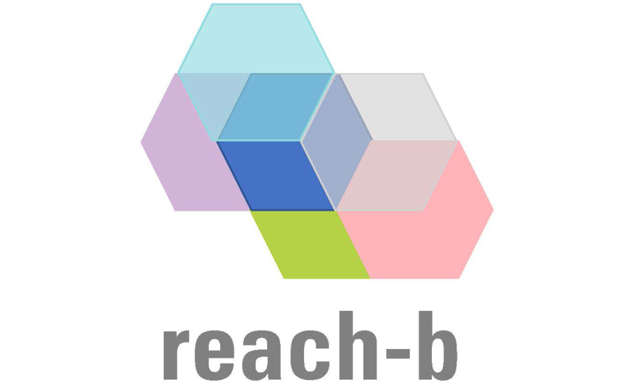 REACH-B logo