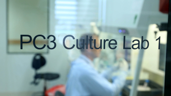 Close up of a sign door "PC3 Culture Lab". Person in the background, working at a hood. 