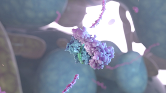 Illustration of the siRNA recruits proteins and slices up the virus. Credit: UNSW 3DXLab