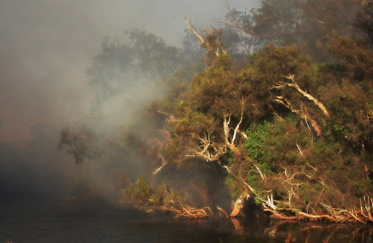 Bushfire smoke, asthma, lung disease and masks – BREATHE, a research study in 2022