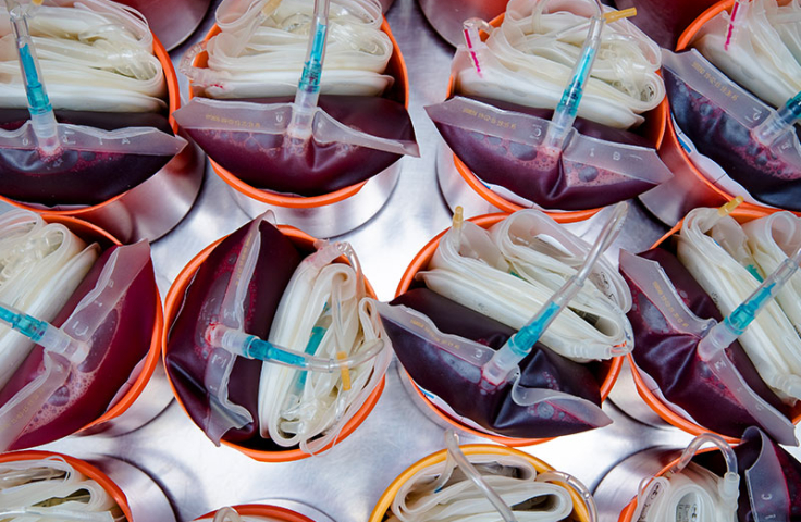 Close up shot medical blood bags