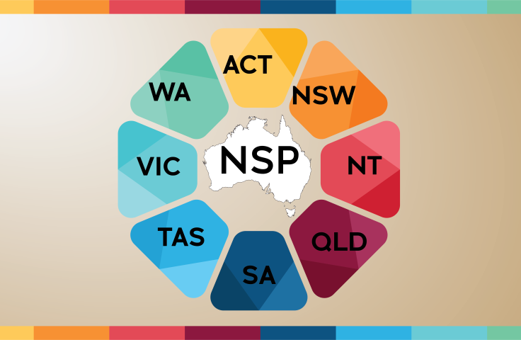 NSP NMDC 2023 National Data Report Image