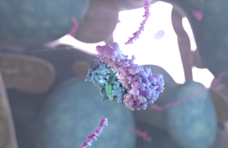 Illustration of the siRNA recruits proteins and slices up the virus. Credit: UNSW 3DXLab