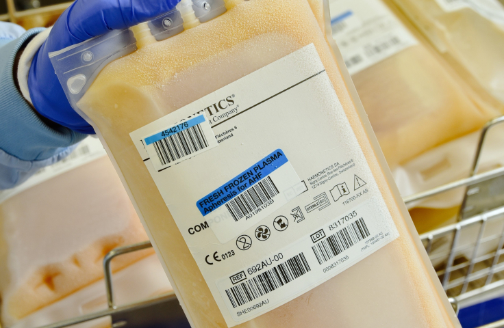 Medical bag of frozen plasma held by purple gloved hands. Credit: LifeBlood