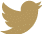 Twitter gold icon